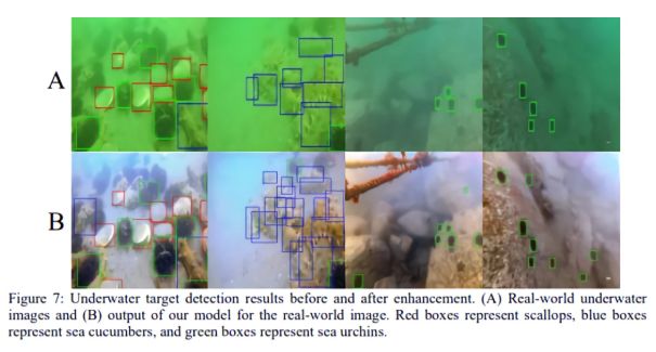 《研究人员详细介绍了可以对水下照片进行除雾和着色的AI》