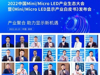 《2022 中国Mini／Micro LED产业生态交流会取得成功在深举行》